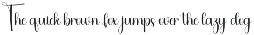Typography preview
