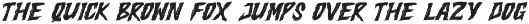 Botleg - Trendy Brush Font preview