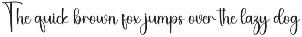 Welcome preview