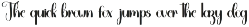 Typography preview