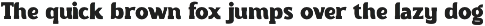 Torque - Serif Font preview