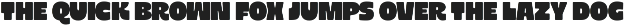 Extra Chunk Please Ultra Bold Sans preview
