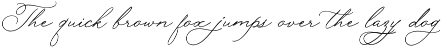 Rose Orchard Garden // Script Font font preview