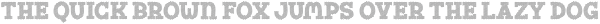 Fox Strong Strokes otf (400)
