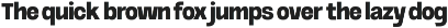 Neue Asgraf preview