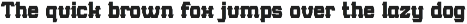 Rookie Assist | Sport Display Font preview
