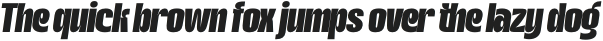 Gotkin Black Italic otf (900)