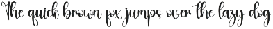 Budget | Script Font preview