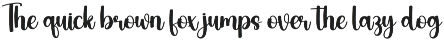 Longtime | Script Font preview