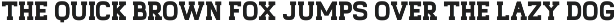 Gearmax Bold Serif Sport Font preview
