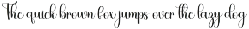 Lighting preview