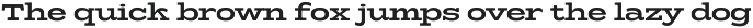 Girk - Variable Slab Serif preview