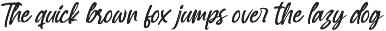 Spenty Brother Modern Brush Font preview