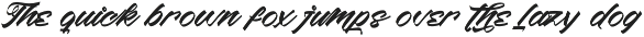 Shading Flash Bold Calligraphy Font preview