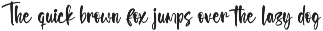Selynadia Bold Brush Font preview