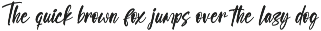 Selynadia Bold Brush Font preview
