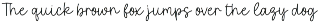 Wildflower Script Font preview