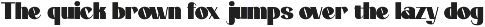 Qokai-display font preview