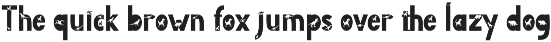 Animation Display Bundle preview
