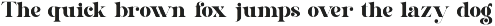 Shogita - Elegant Serif Font preview