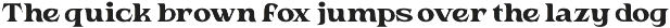 Havox Vintage - Branding Logo Font preview