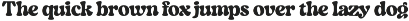 Bright Morning - Retro Serif preview