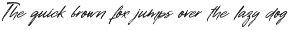 TT Disruptors font preview