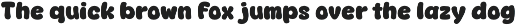 Fox Ducky Font Duo preview