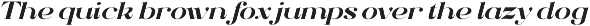 Elthia - Variable Serif preview