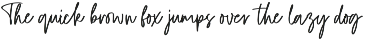 Dellmonte - Casual Script Font preview
