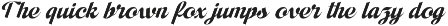 Adjust Ranch Retro Script Logo preview