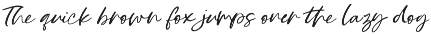 Georgi Town Script Font Family preview
