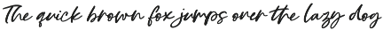 Georgi Town Script Font Family preview