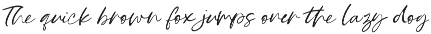 Georgi Town Script Font Family preview