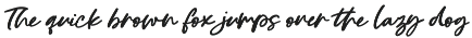 Georgi Town Script Font Family preview
