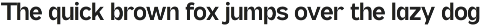 Pripun - San Serif Family preview