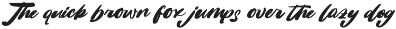 Replant United Bold Calligraphy Font preview
