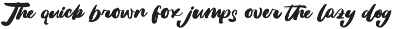 Replant United Bold Calligraphy Font preview