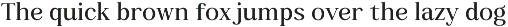 Campile - Minimalist Rounded Serif preview