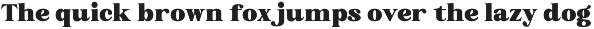Campile - Minimalist Rounded Serif preview