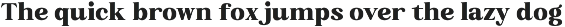 Campile - Minimalist Rounded Serif preview