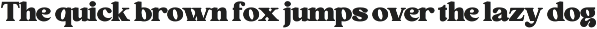 Ohaigo Serif Typeface preview
