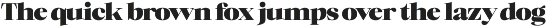 Mckins - Family Serif Font preview