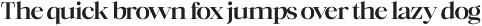 Mckins - Family Serif Font preview