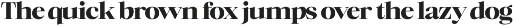 Mckins - Family Serif Font preview
