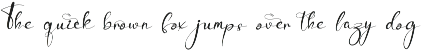 Ancient Wedding - Script Font preview