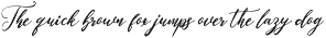 Elastime preview