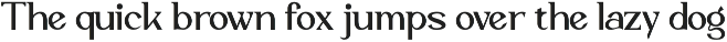 Vaggoe Elegant Serif Font preview