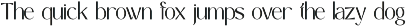 Simple Kindness - Classy Sans Font preview