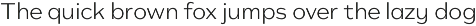Typonium preview